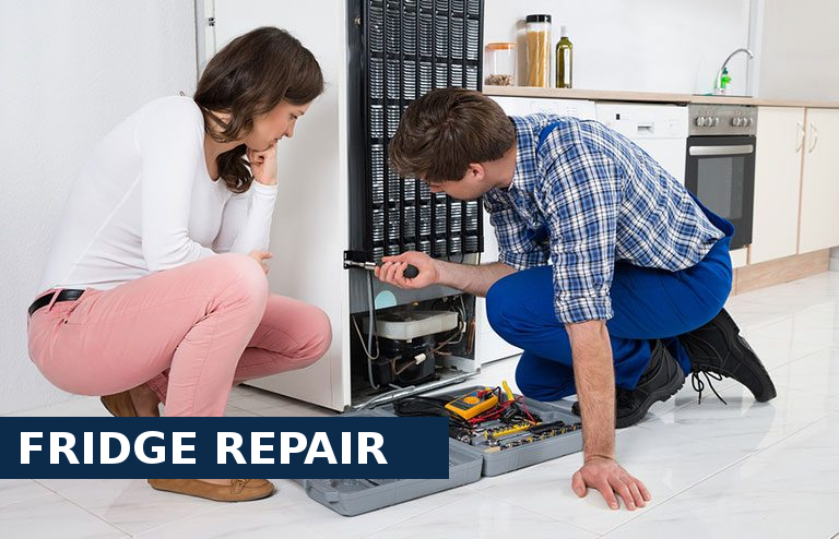 Fridge Repair Stockwell